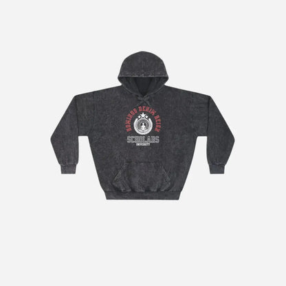 Hominus Denim Scholars Graphic Washed Hoodie Printify